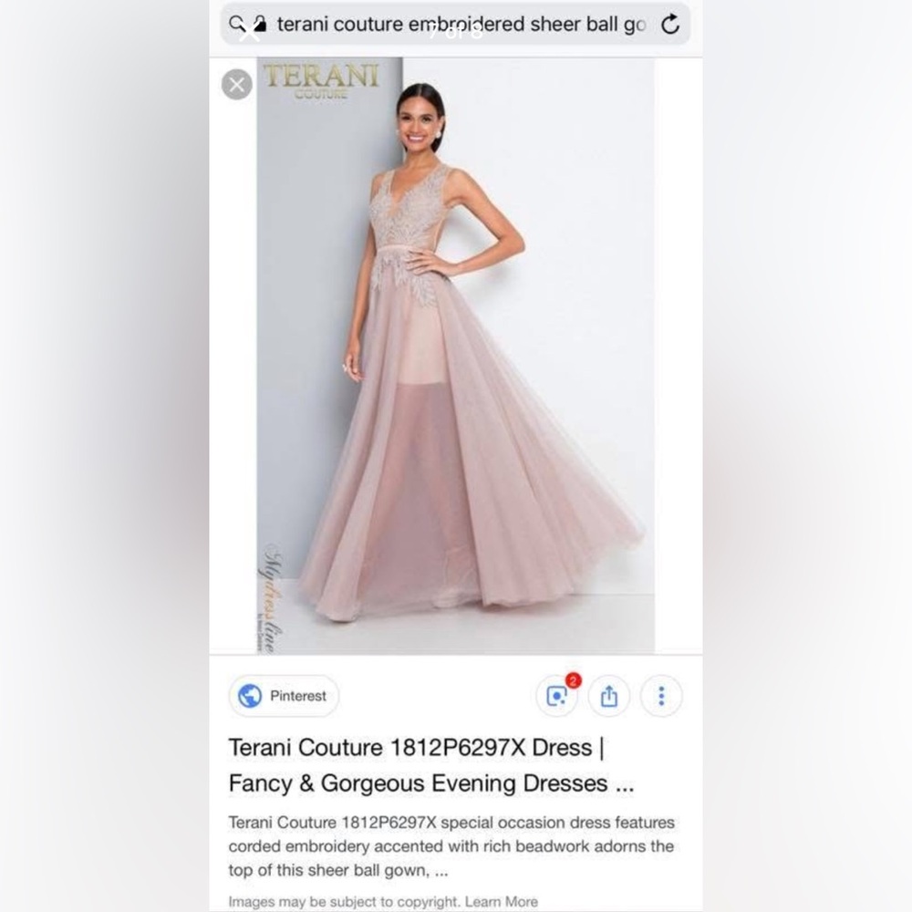Terani Couture Blush Embroidered Gown
